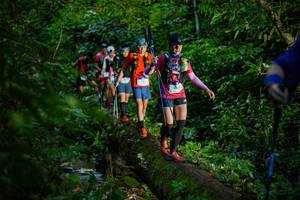 BIB: 
                            <button type="button" onclick="openModal(18922741)" class="btn btn-primary btn-sm float-right btn-popup" data-toggle="modal" data-target=".modal-high-quality">
                        <i class="fas fa-shopping-cart"></i> Add to Cart
                    </button>
                                            <button type="button" onclick="isThisMe(18922741, true)" class="btn btn-success btn-sm float-right btn-popup btn-isme hidden" data-toggle="tooltip" data-placement="bottom" title="นี่คือรูปของคุณใช่ไหม คลิกที่นี่เพื่อเอาเข้าอัลบั้ม">
                        <i class="fas fa-plus"></i> Add to album
                    </button>
                    <button type="button" onclick="isThisMe(18922741, false)" class="btn btn-warning btn-sm float-right btn-popup btn-isnotme hidden">
                        <i class="fas fa-ban"></i> Remove from album
                    </button>